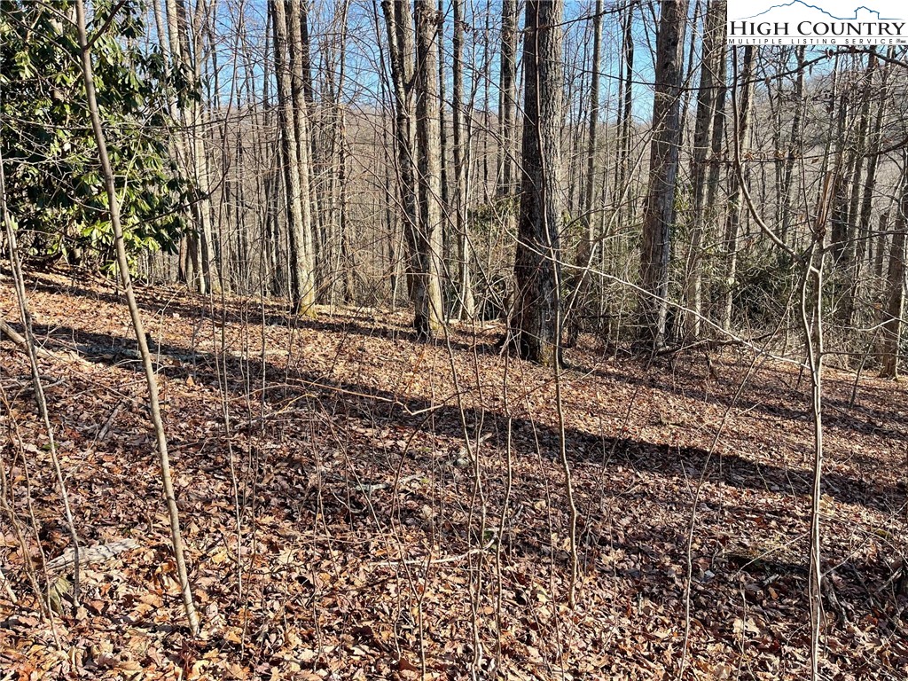 14 Jackson Ridge Road Boone, NC 28607 - Photo 11 of 12