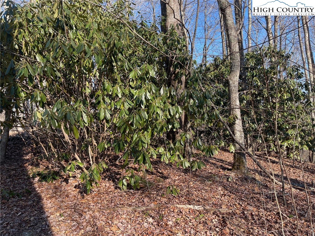 14 Jackson Ridge Road Boone, NC 28607 - Photo 12 of 12