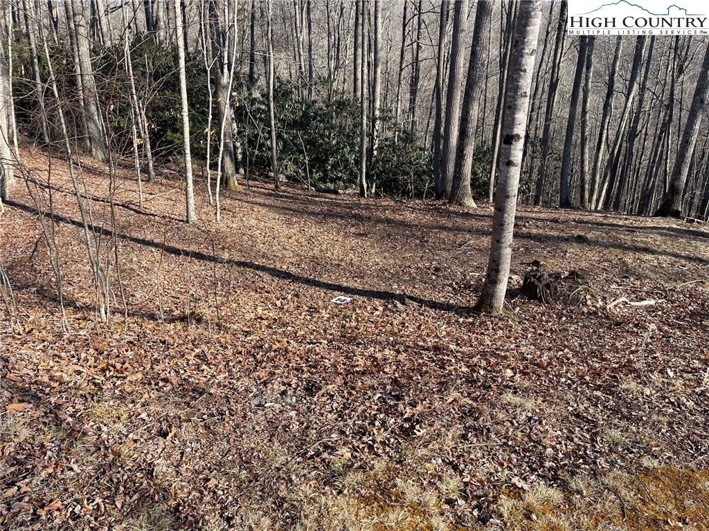 14 Jackson Ridge Road Boone, NC 28607 - Photo 2 of 12