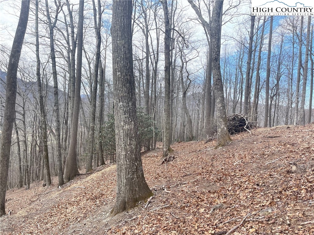 14 Jackson Ridge Road Boone, NC 28607 - Photo 6 of 12