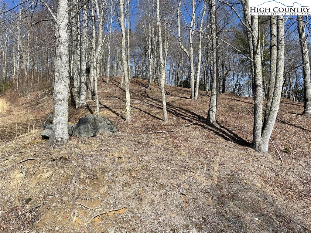 14 Jackson Ridge Road Boone, NC 28607 - Photo 9 of 12