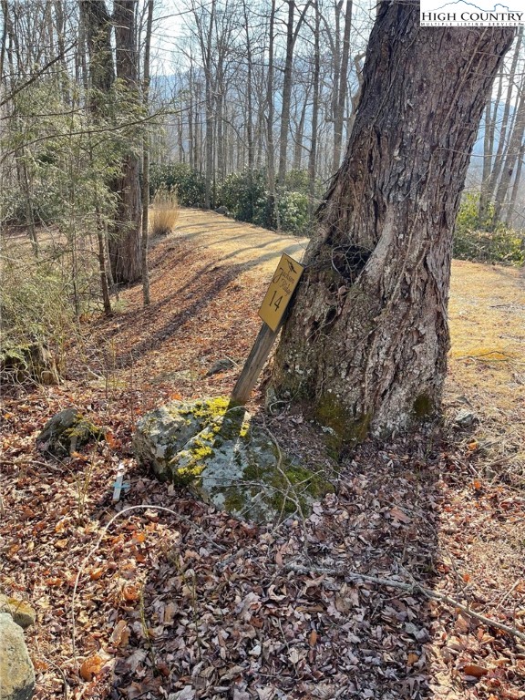 14 Jackson Ridge Road Boone, NC 28607 - Photo 10 of 12