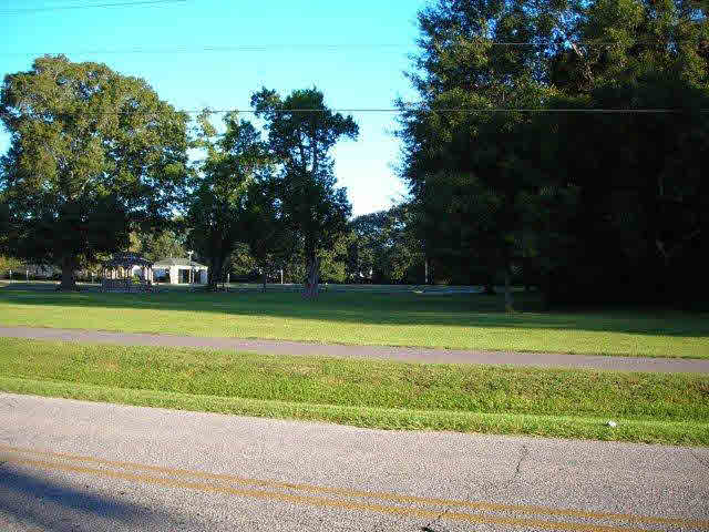 208 East Berry Avenue Foley, AL 36535 - Photo 3 of 17