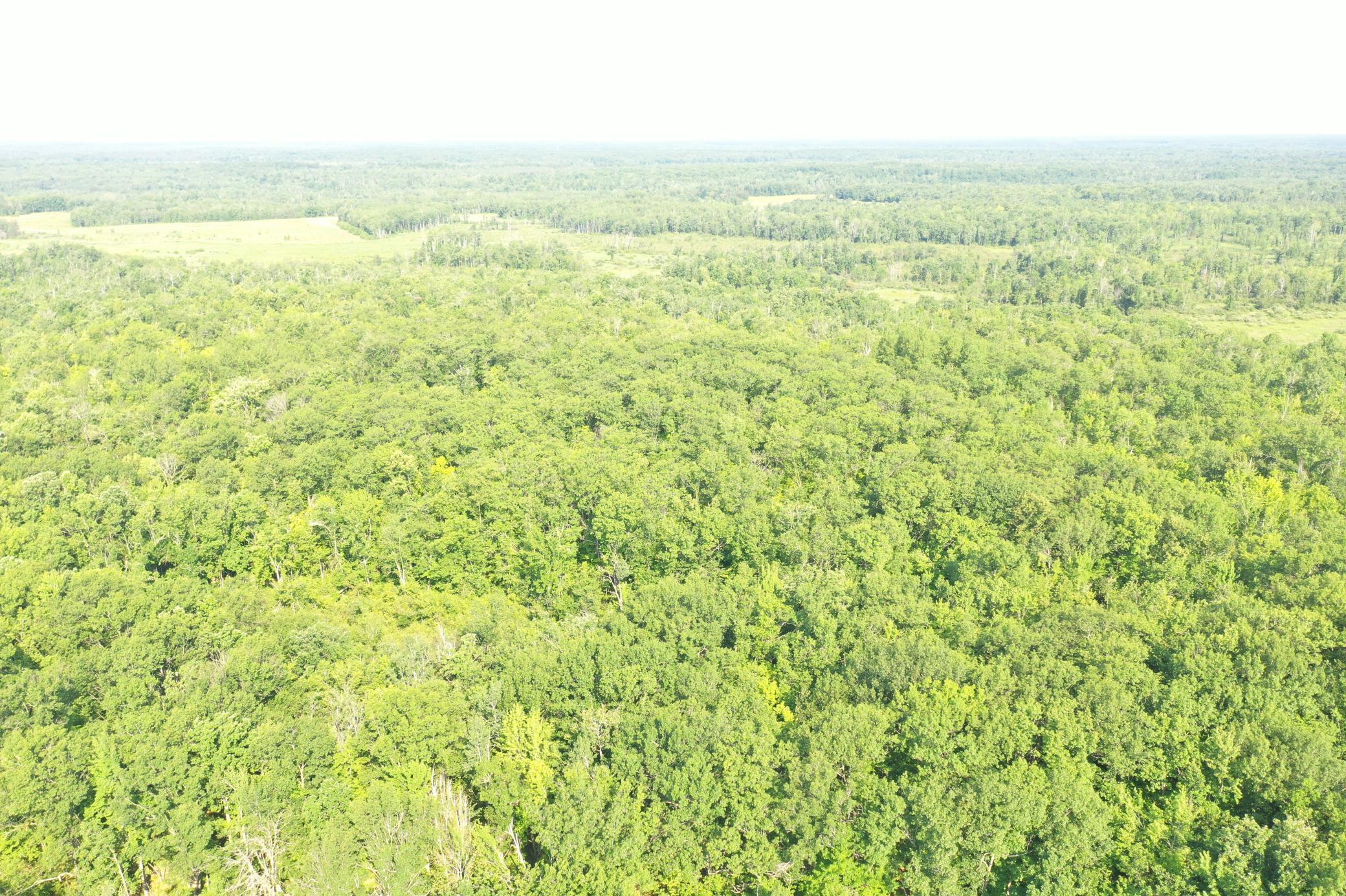 ** Condor Road Sandstone, MN 55072 - Photo 1 of 1 Gallery Image 1