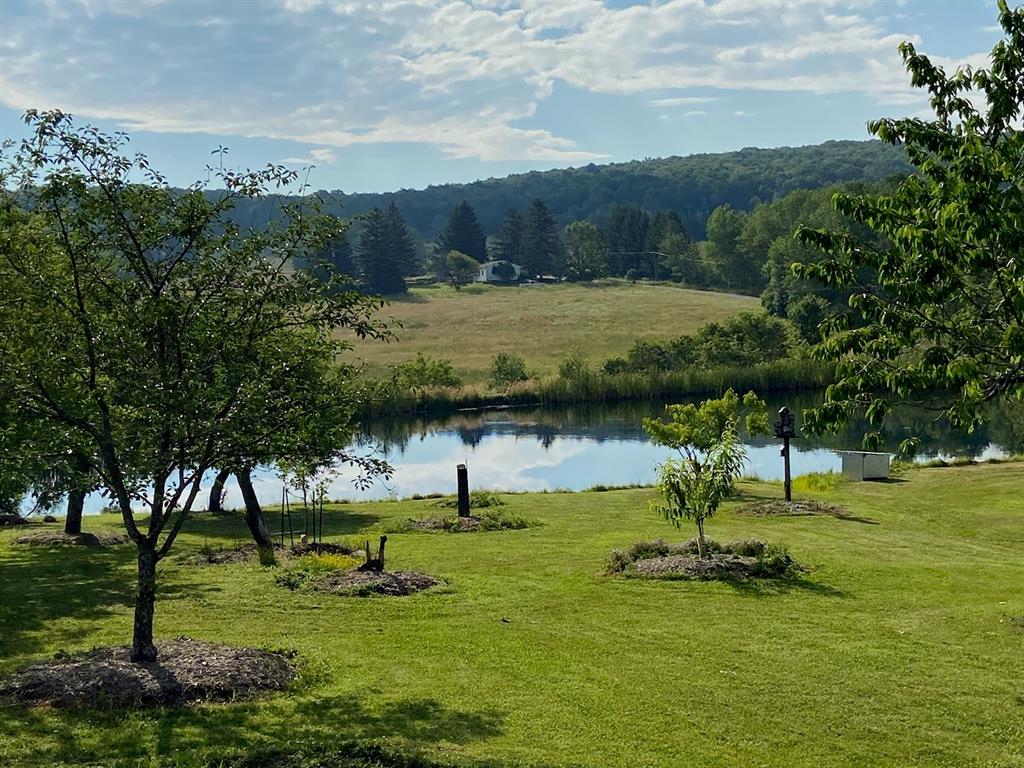 417 State Line Road Vestal, NY 13850 - Photo 11 of 50 Gallery Image 11