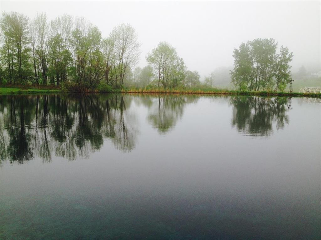 417 State Line Road Vestal, NY 13850 - Photo 22 of 50 Gallery Image 22