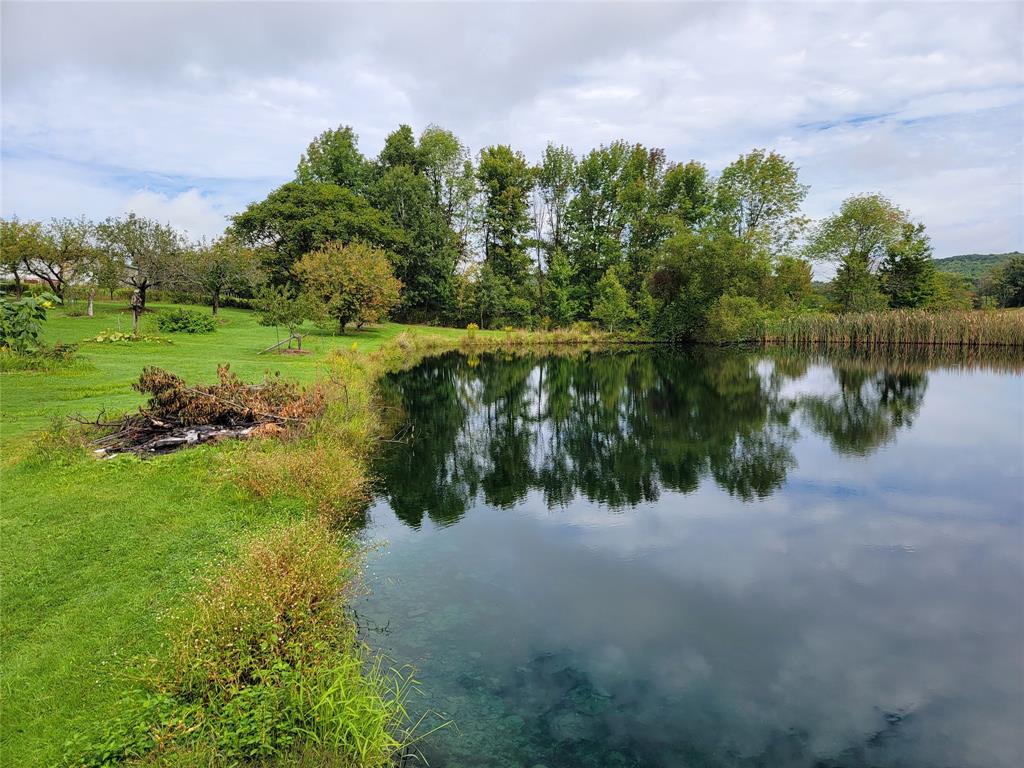 417 State Line Road Vestal, NY 13850 - Photo 10 of 50 Gallery Image 10