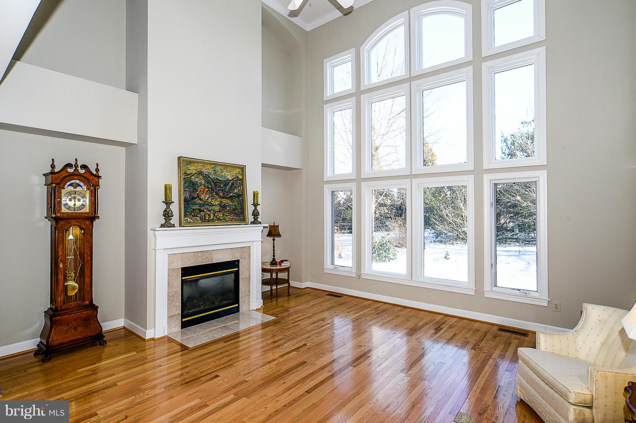 11307 Stones Throw Drive Reston, VA 20194 - Photo 12 of 30 Living Room