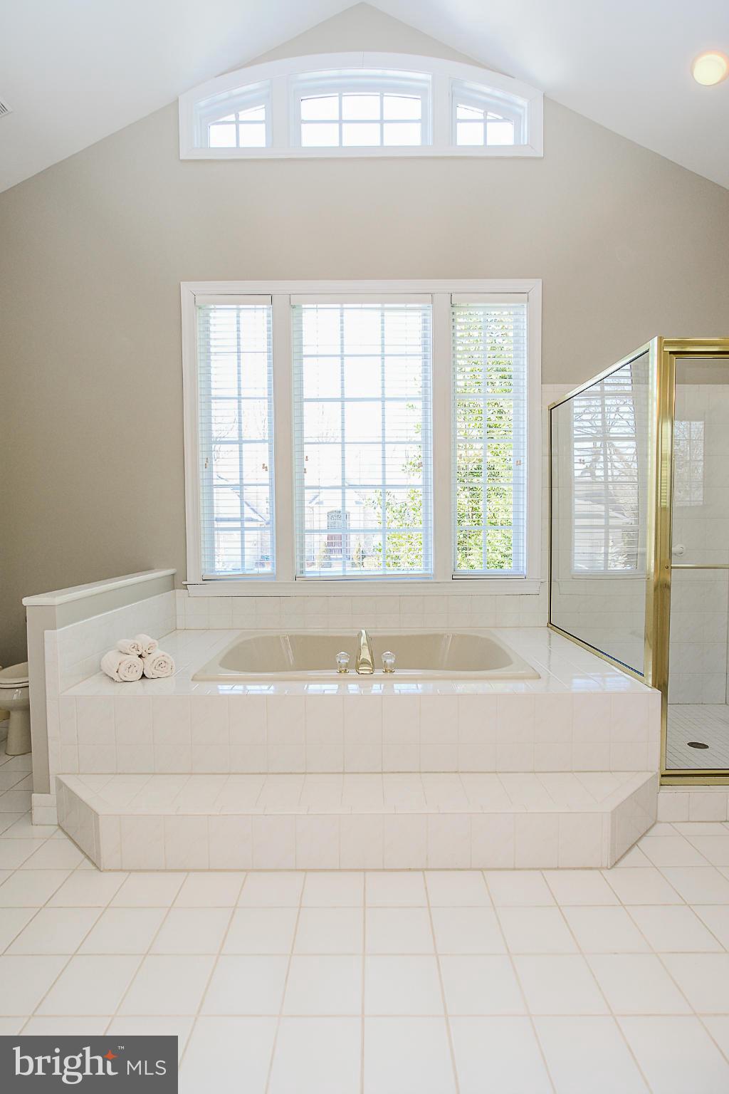 11307 Stones Throw Drive Reston, VA 20194 - Photo 23 of 30 Bath (Master)