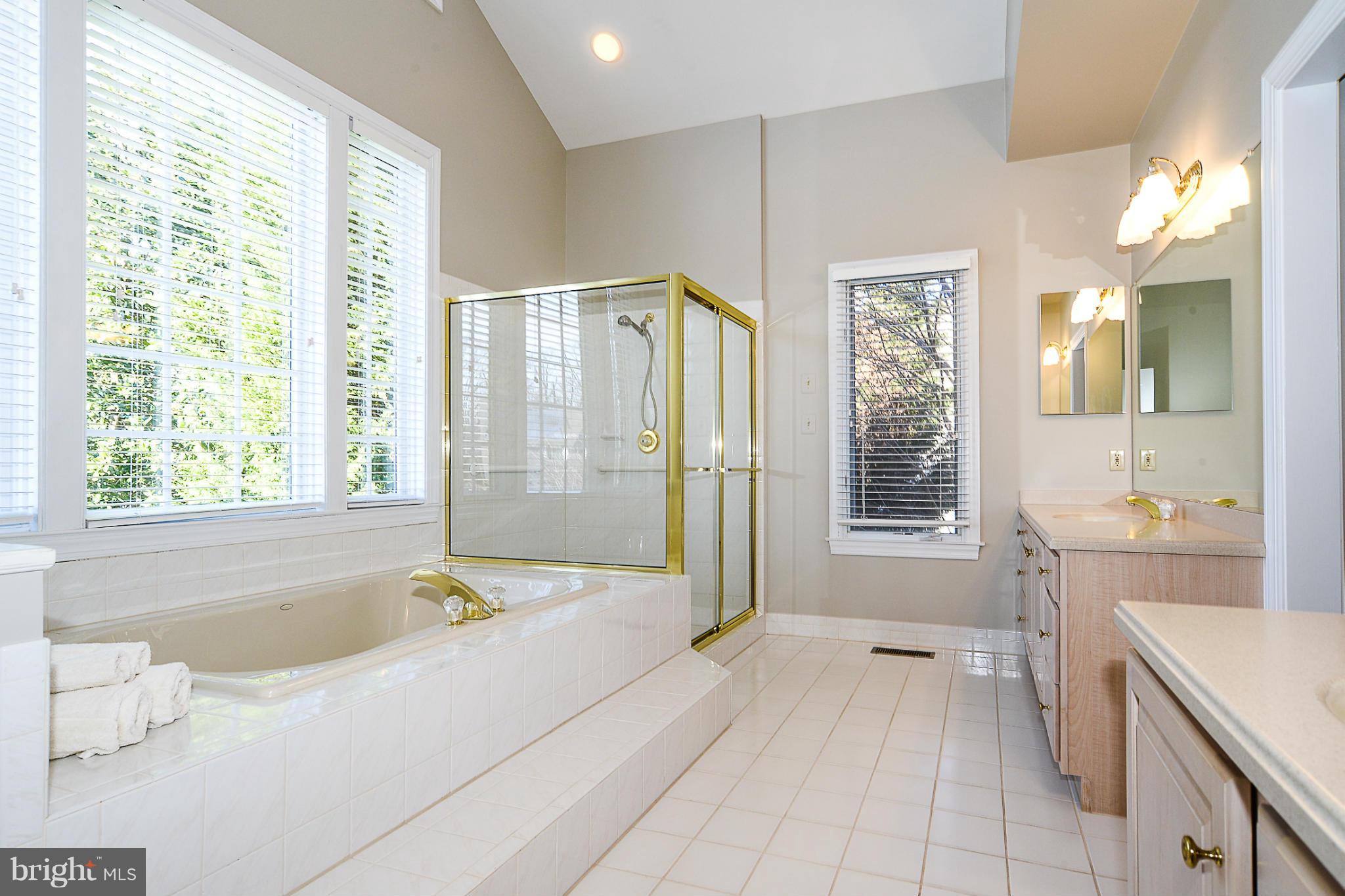 11307 Stones Throw Drive Reston, VA 20194 - Photo 8 of 30 Bath (Master)