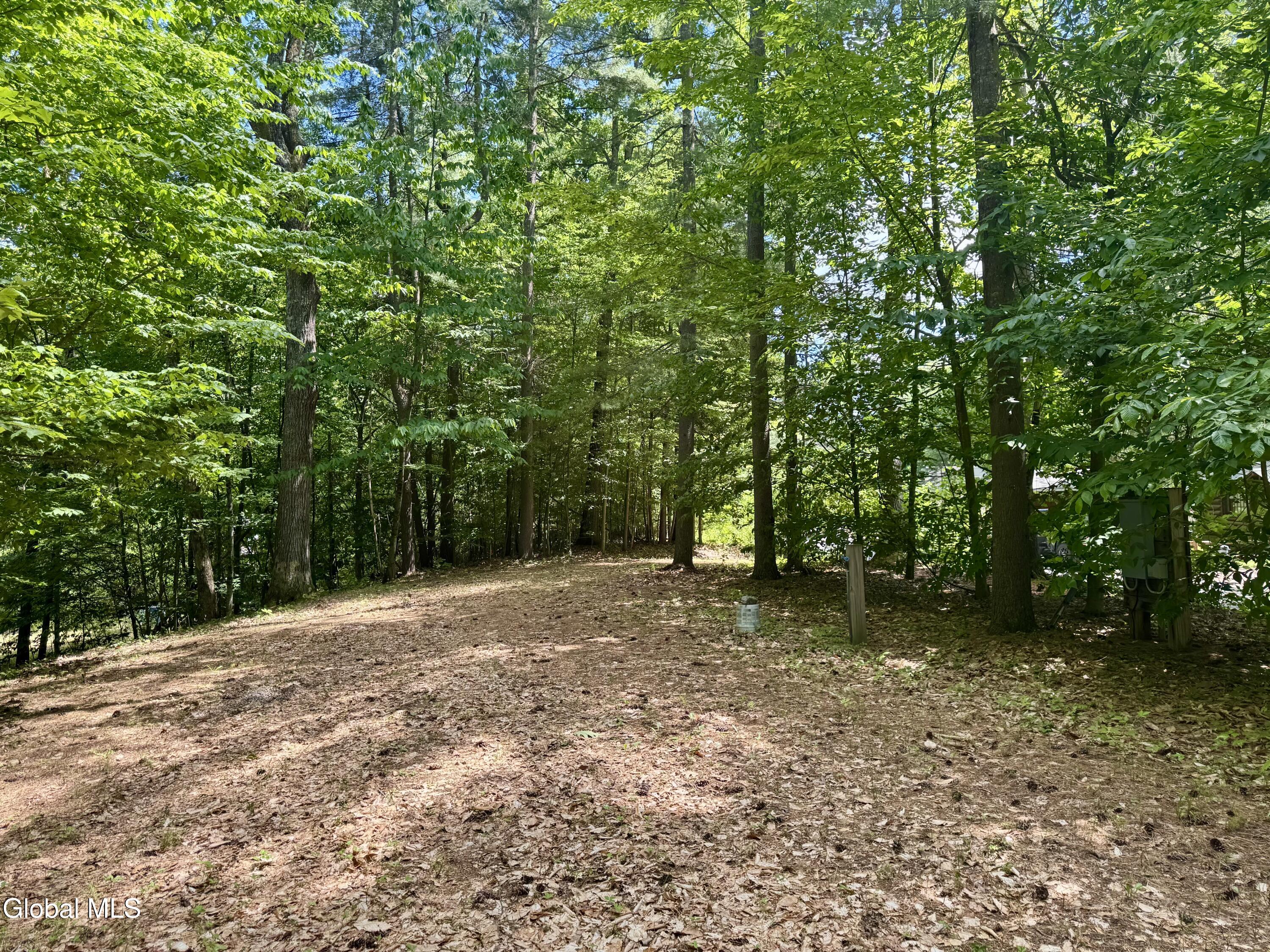 L33 Corinth Road Hadley, NY 12835 - Photo 11 of 13 IMG_5806