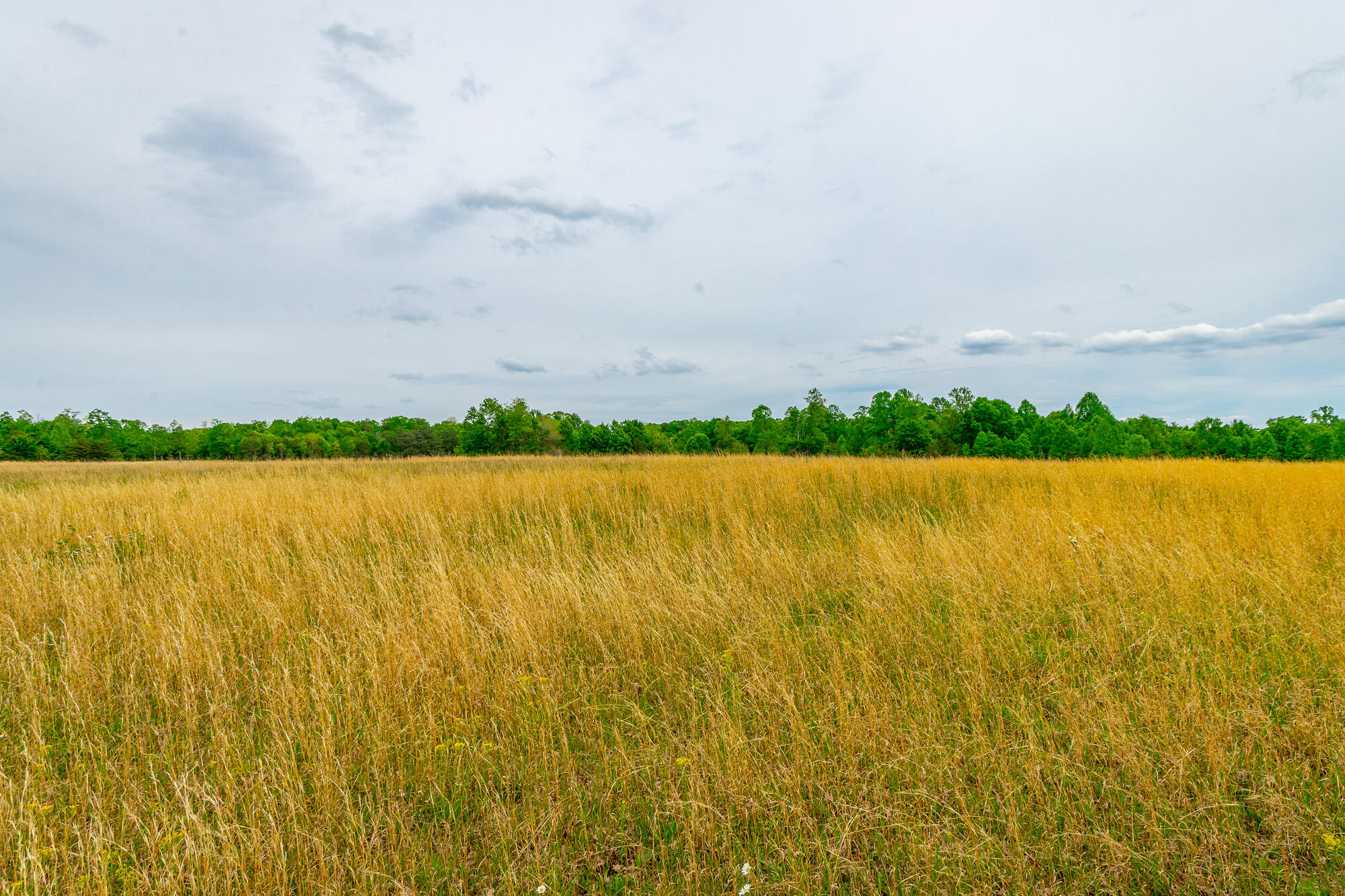 0 Ray Gadd Road Graysville, TN 37338 - Photo 40 of 109 Ray Gadd Road Lot HD-5