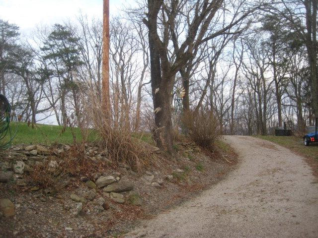 1000 Old Fox Road Irvine, KY 40336 - Photo 20 of 44 Photo 20