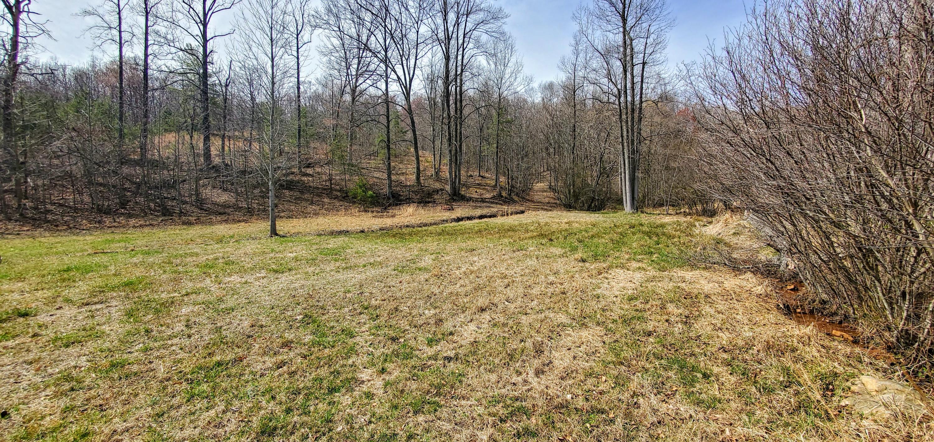 4540 Bore Auger Road Blue Ridge, VA 24064 - Photo 23 of 52 a view of a covered with trees in the background