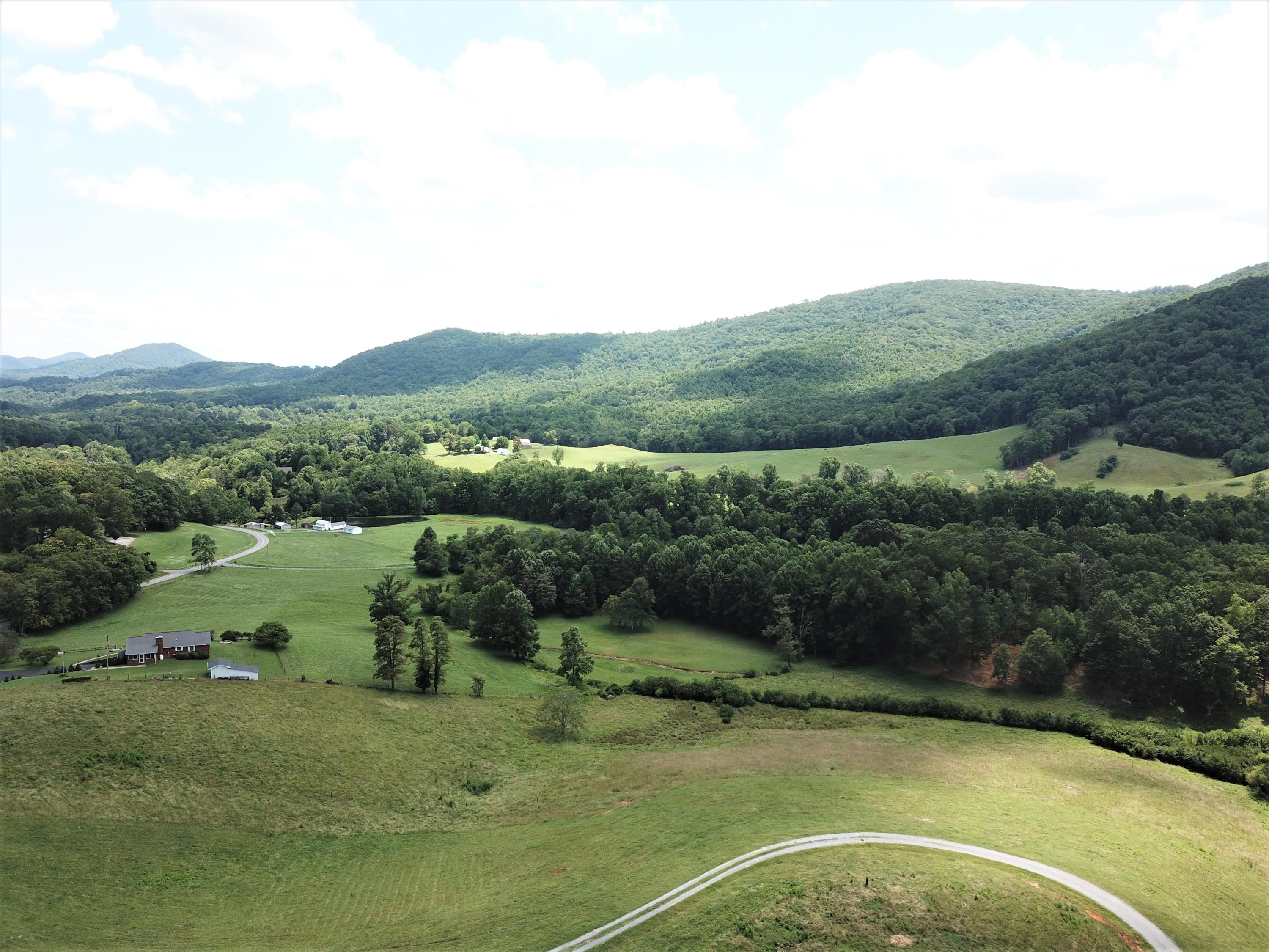 4540 Bore Auger Road Blue Ridge, VA 24064 - Photo 33 of 52 a view of a house with a yard