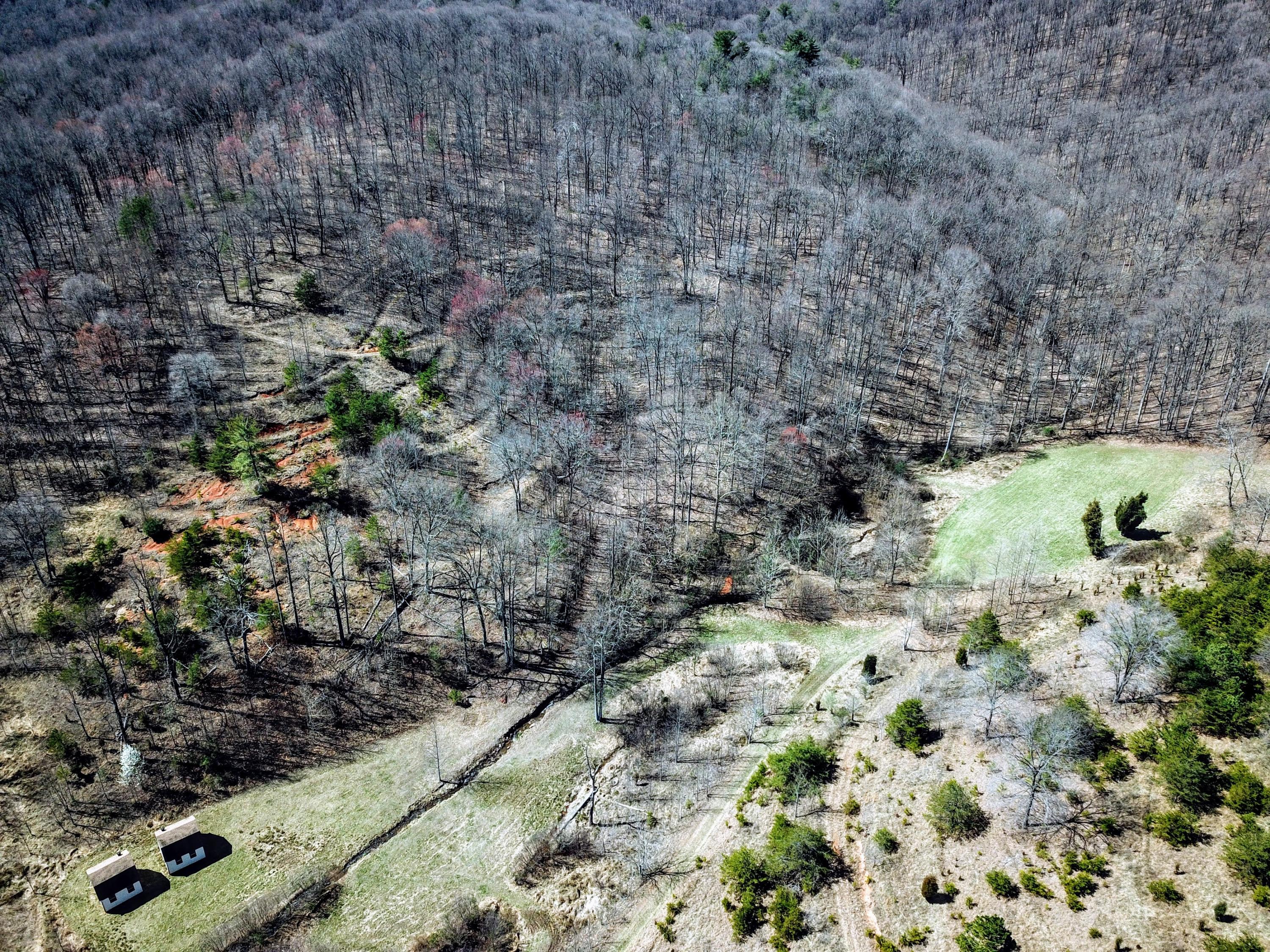 4540 Bore Auger Road Blue Ridge, VA 24064 - Photo 50 of 52 a view of a forest with a tree