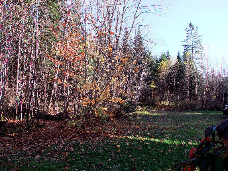 353 South Hemore Road Houlton, ME 04730 - Photo 5 of 35 lansingjones-ext1