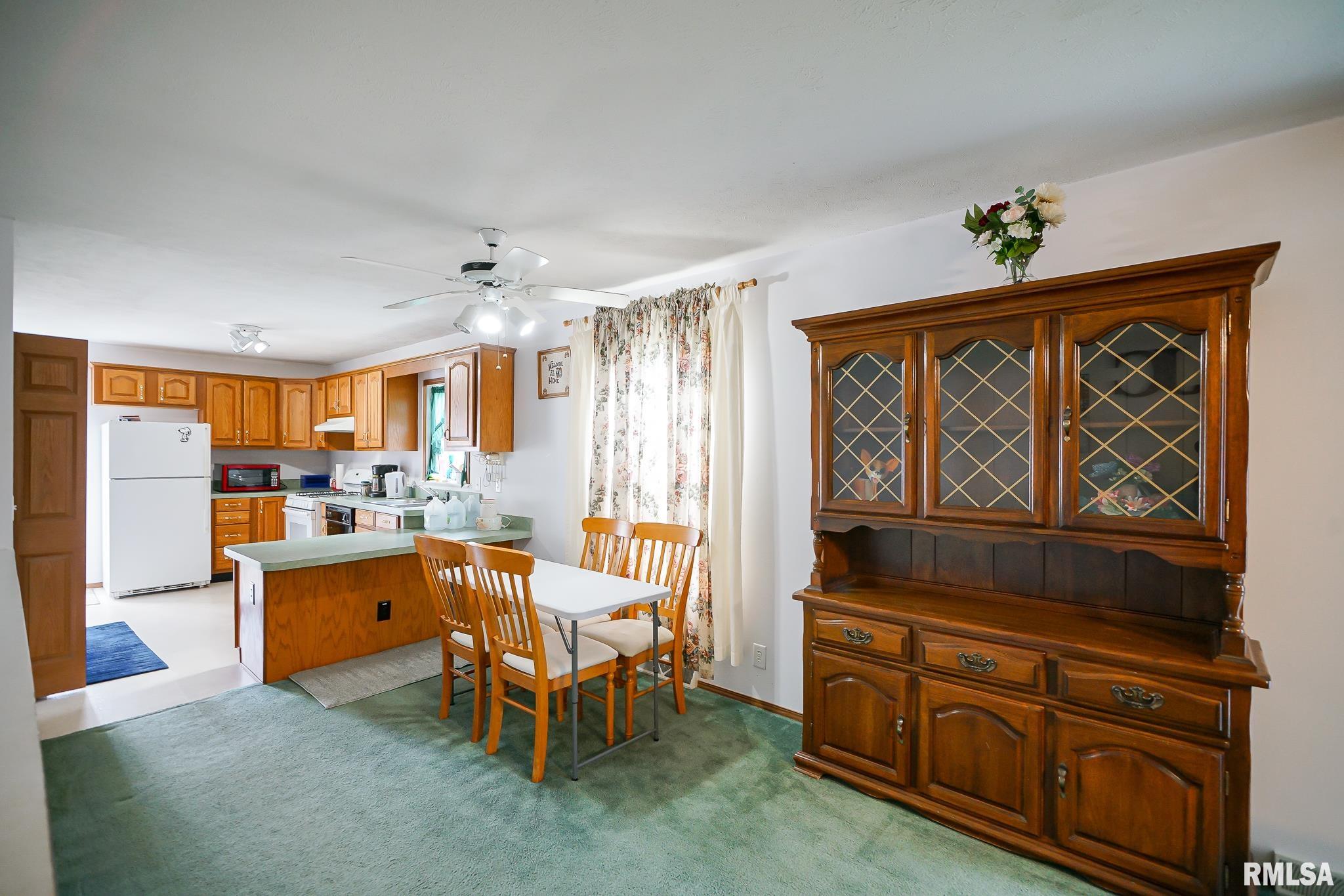 297 Macallen Lake Road Carlock, IL 61725 - Photo 12 of 45