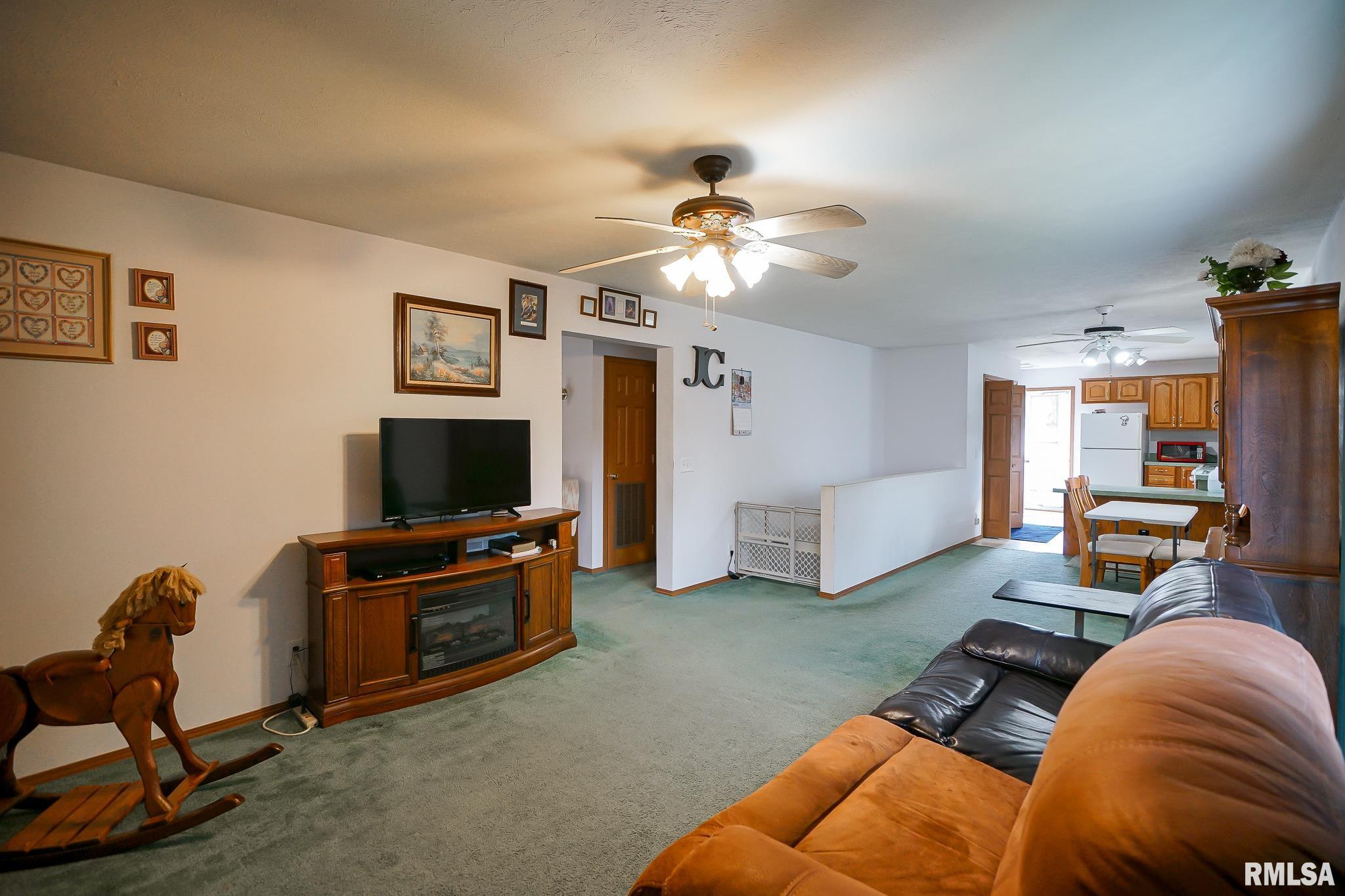 297 Macallen Lake Road Carlock, IL 61725 - Photo 20 of 45