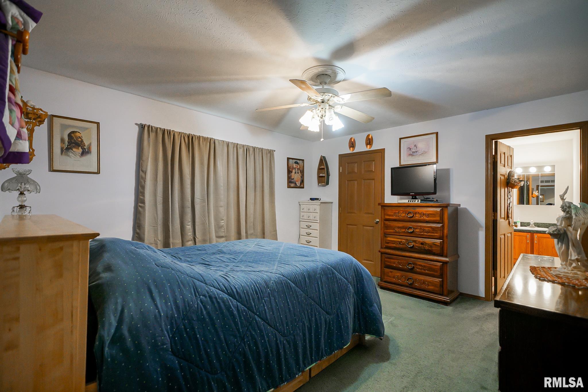 297 Macallen Lake Road Carlock, IL 61725 - Photo 21 of 45