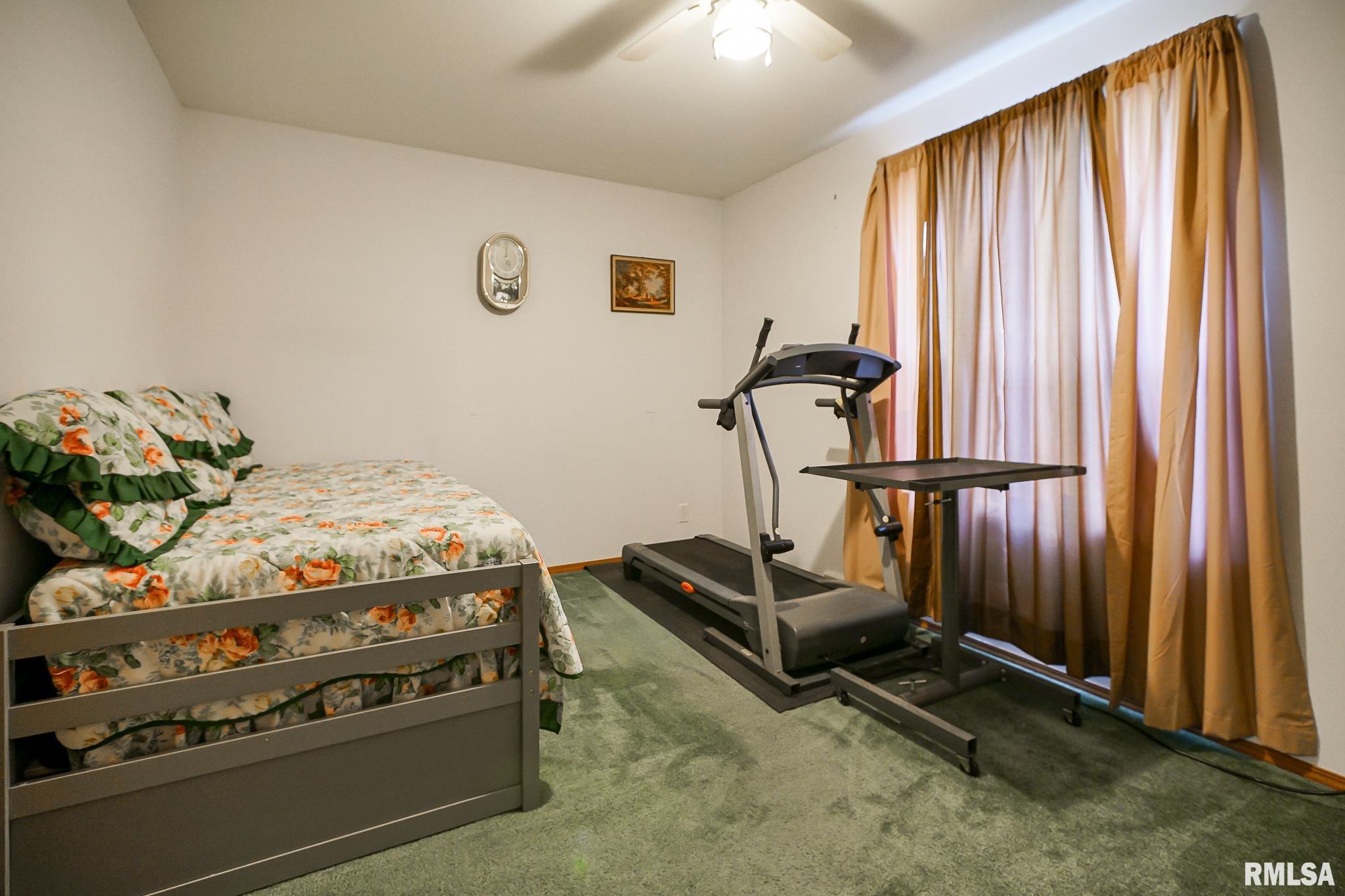 297 Macallen Lake Road Carlock, IL 61725 - Photo 26 of 45