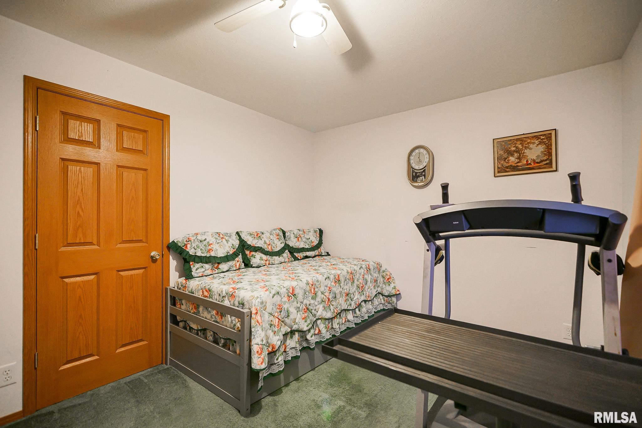 297 Macallen Lake Road Carlock, IL 61725 - Photo 27 of 45