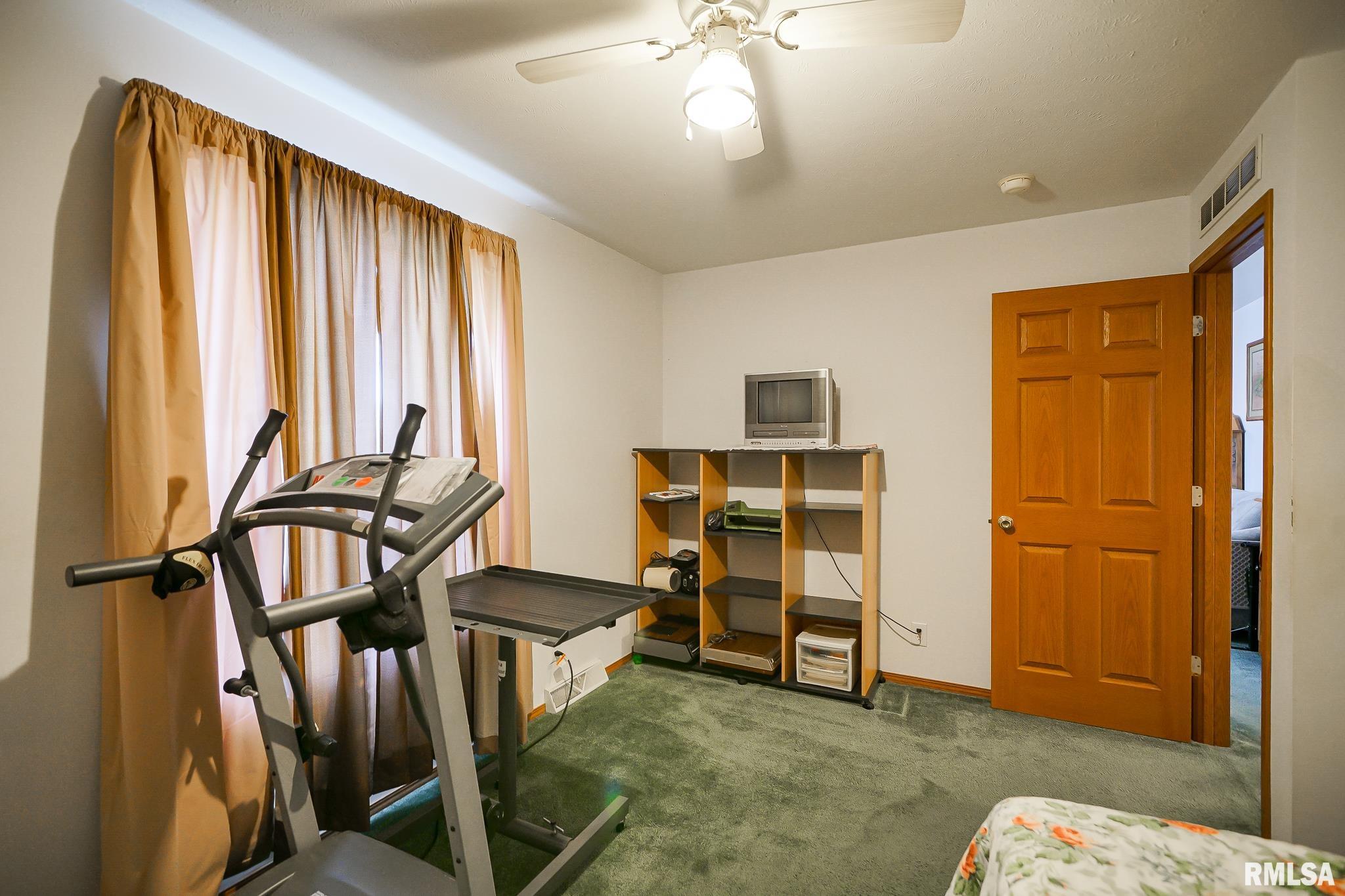 297 Macallen Lake Road Carlock, IL 61725 - Photo 28 of 45