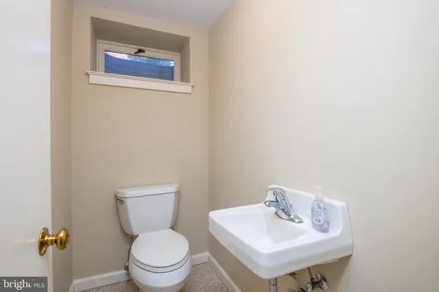 a view of a lake with lawn chairs and large trees