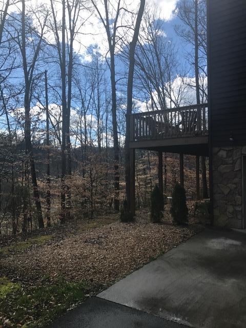 3839 Bear Track Way Del Rio, TN 37727 - Photo 30 of 30 IMG_1222