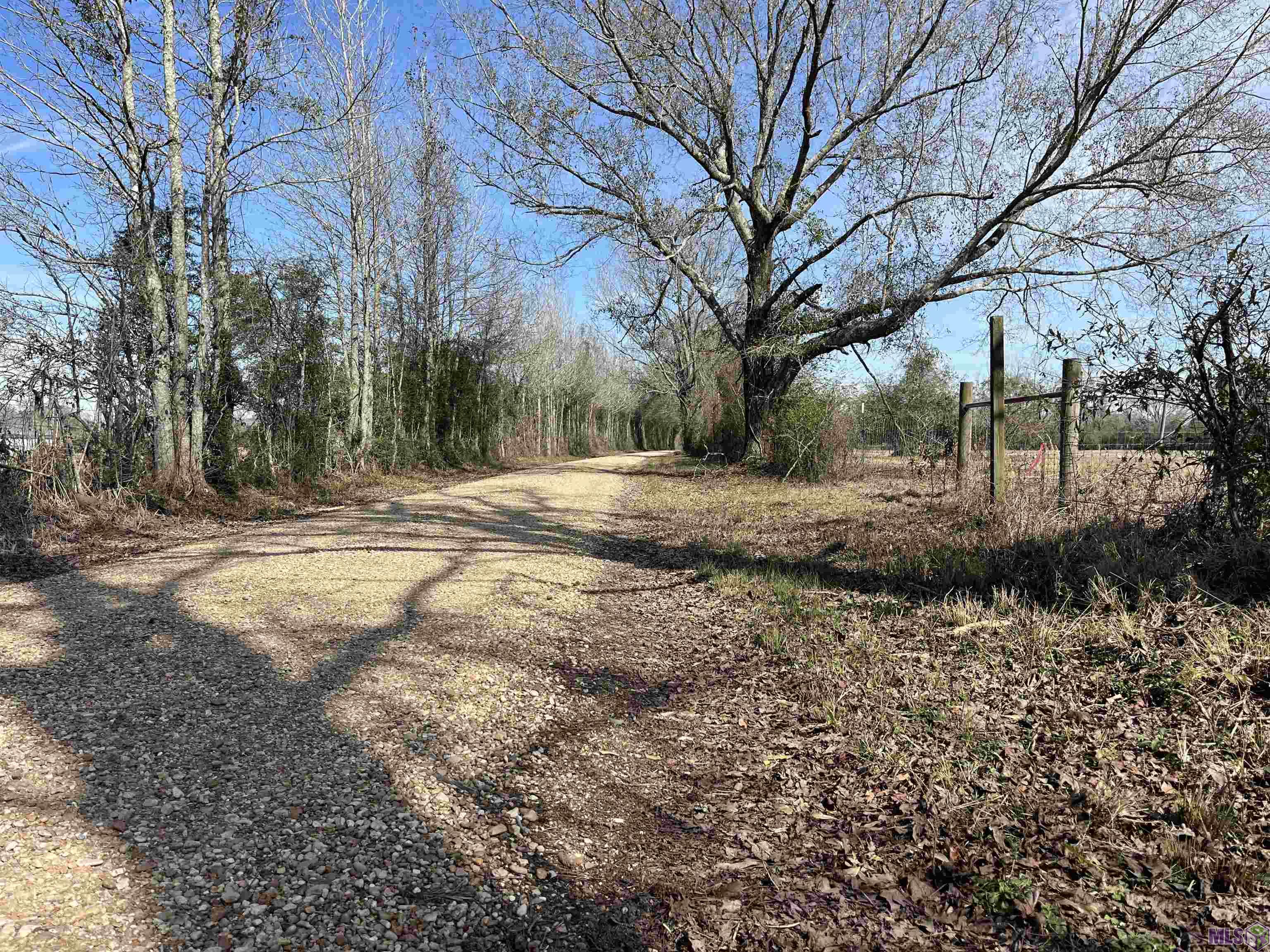 0 Dougherty Lane Jackson, LA 70748 - Photo 2 of 5