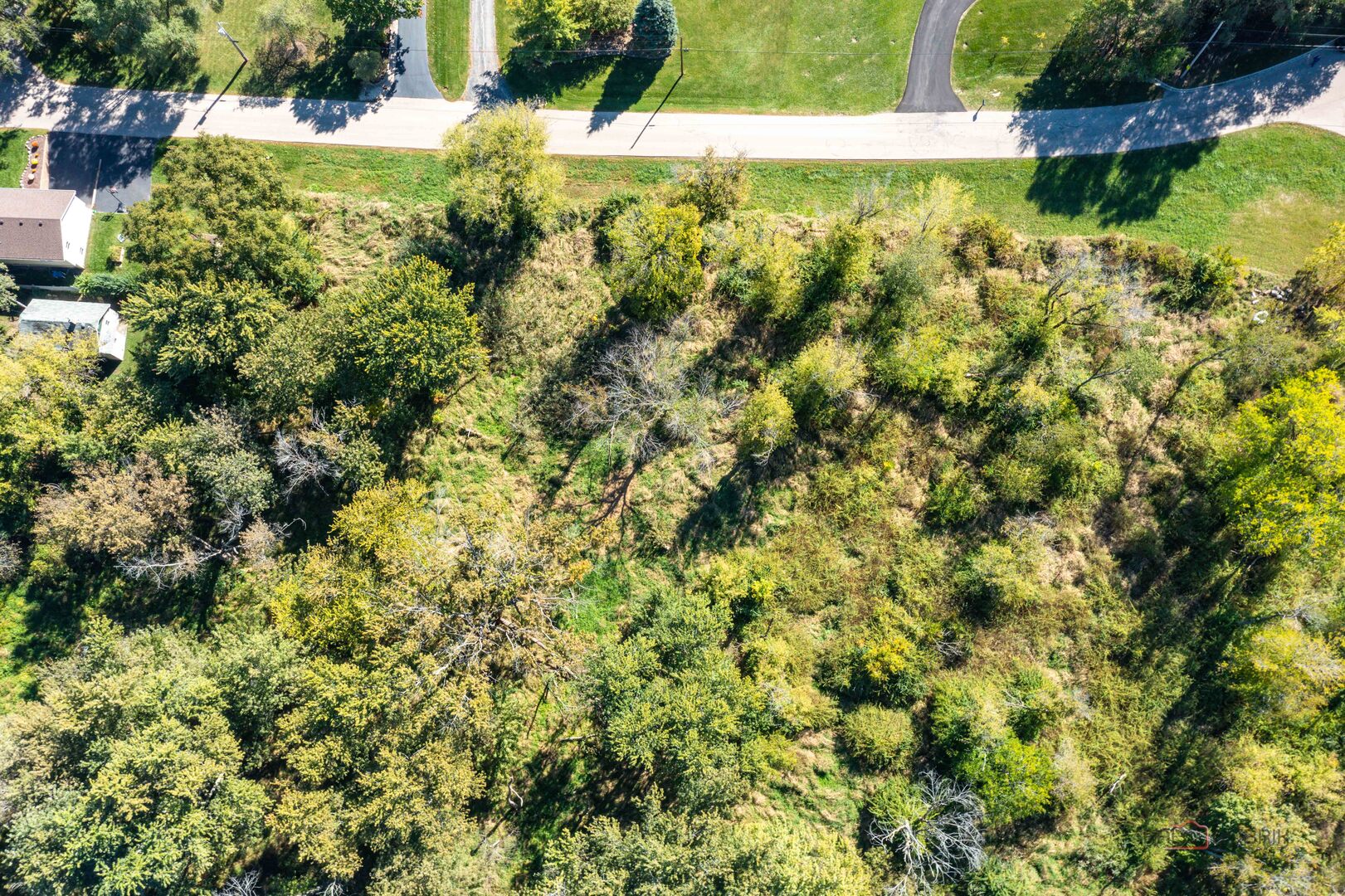 35100 North Indian Trail Ingleside, IL 60041 - Photo 11 of 20 a view of yard with large tree