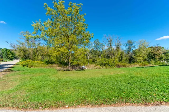 a view of a garden with a tree
