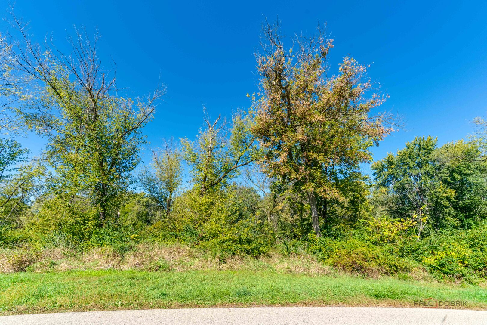 35100 North Indian Trail Ingleside, IL 60041 - Photo 14 of 20 a view of a garden