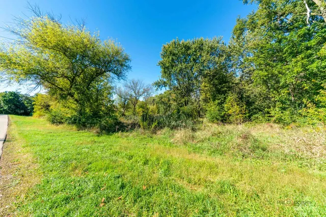 a view of a big yard with large trees