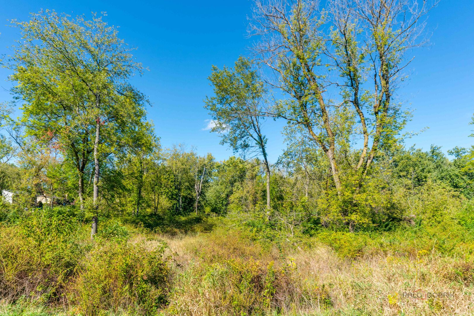 35100 North Indian Trail Ingleside, IL 60041 - Photo 17 of 20 a view of a big yard with large trees