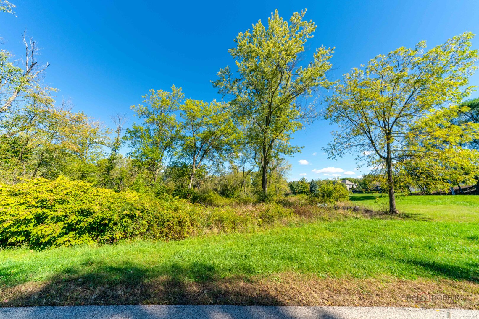 35100 North Indian Trail Ingleside, IL 60041 - Photo 19 of 20 a view of yard with green space