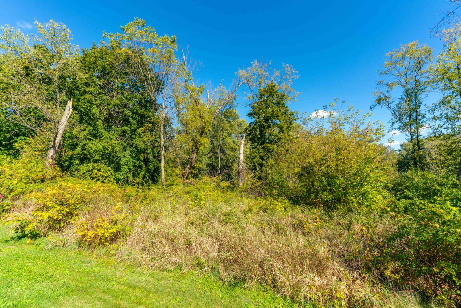 35100 North Indian Trail Ingleside, IL 60041 - Photo 20 of 20 a view of a yard