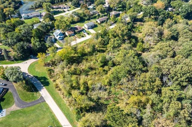 a view of a yard with plants