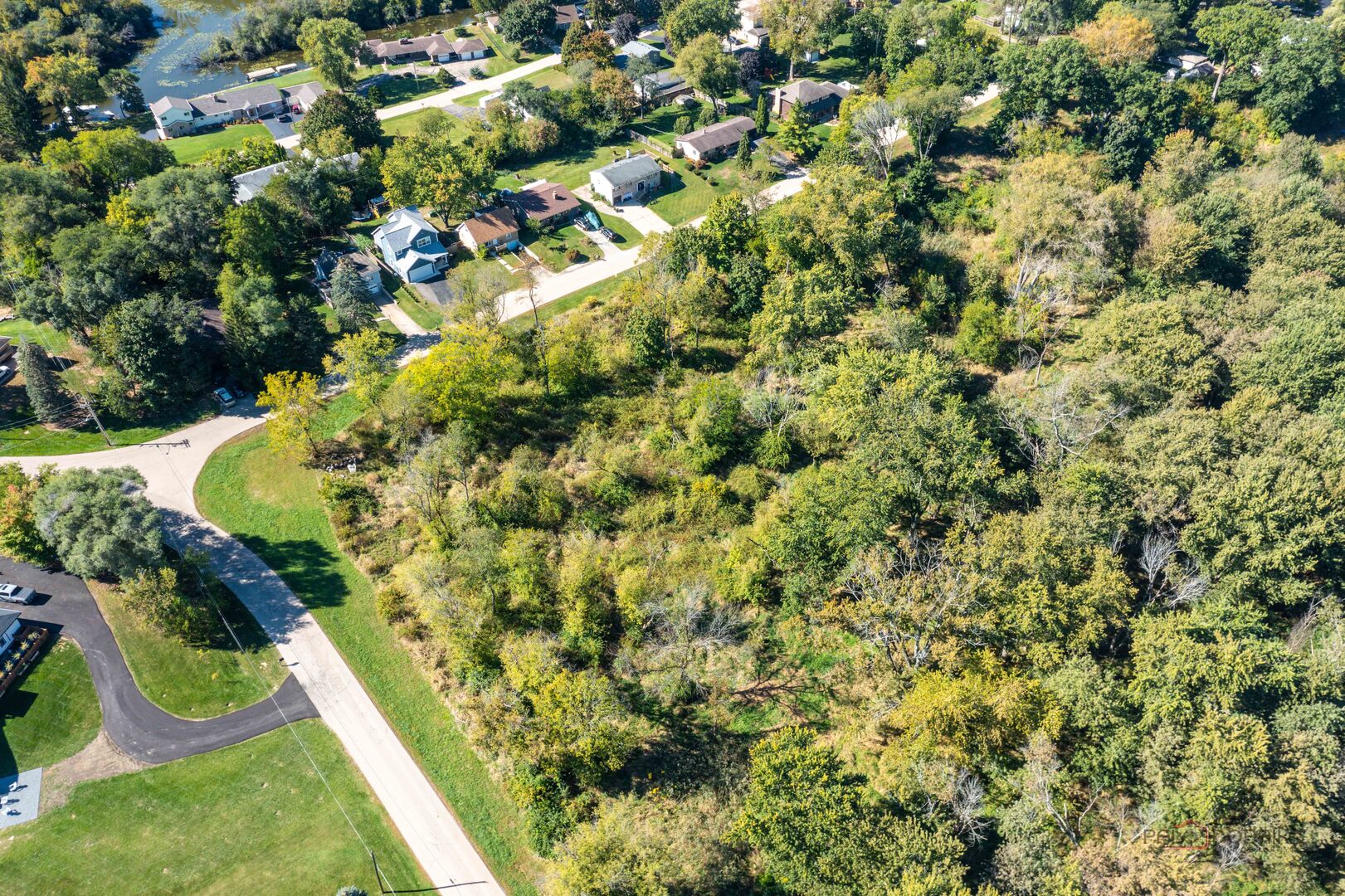 35100 North Indian Trail Ingleside, IL 60041 - Photo 9 of 20 a view of a yard with plants