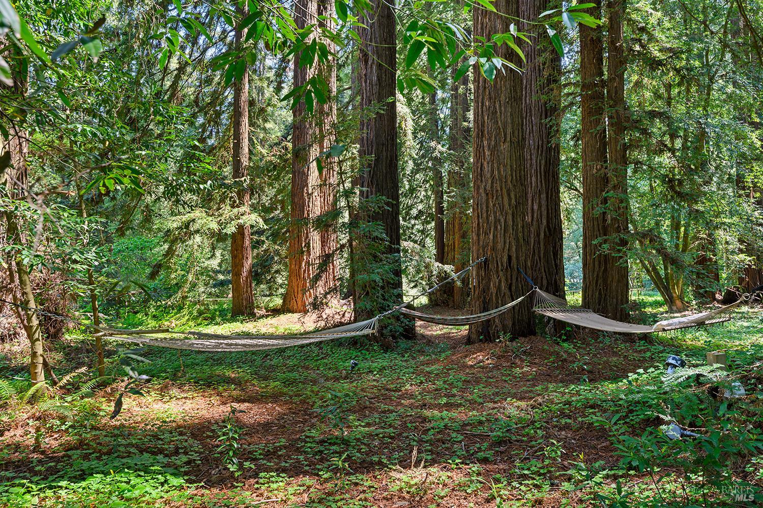 1650 Jonive Road Sebastopol, CA 95472 - Photo 46 of 59
