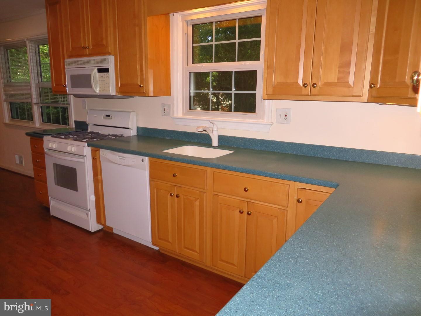 12517 Arbor View Terrace Silver Spring, MD 20902 - Photo 16 of 30 Kitchen