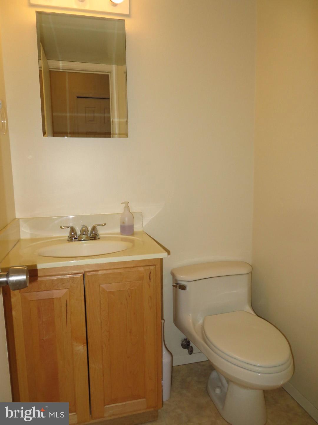 12517 Arbor View Terrace Silver Spring, MD 20902 - Photo 20 of 30 Bath