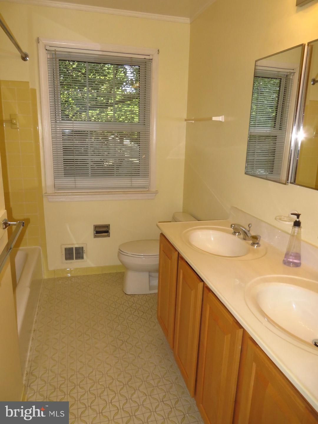 12517 Arbor View Terrace Silver Spring, MD 20902 - Photo 22 of 30 Bath