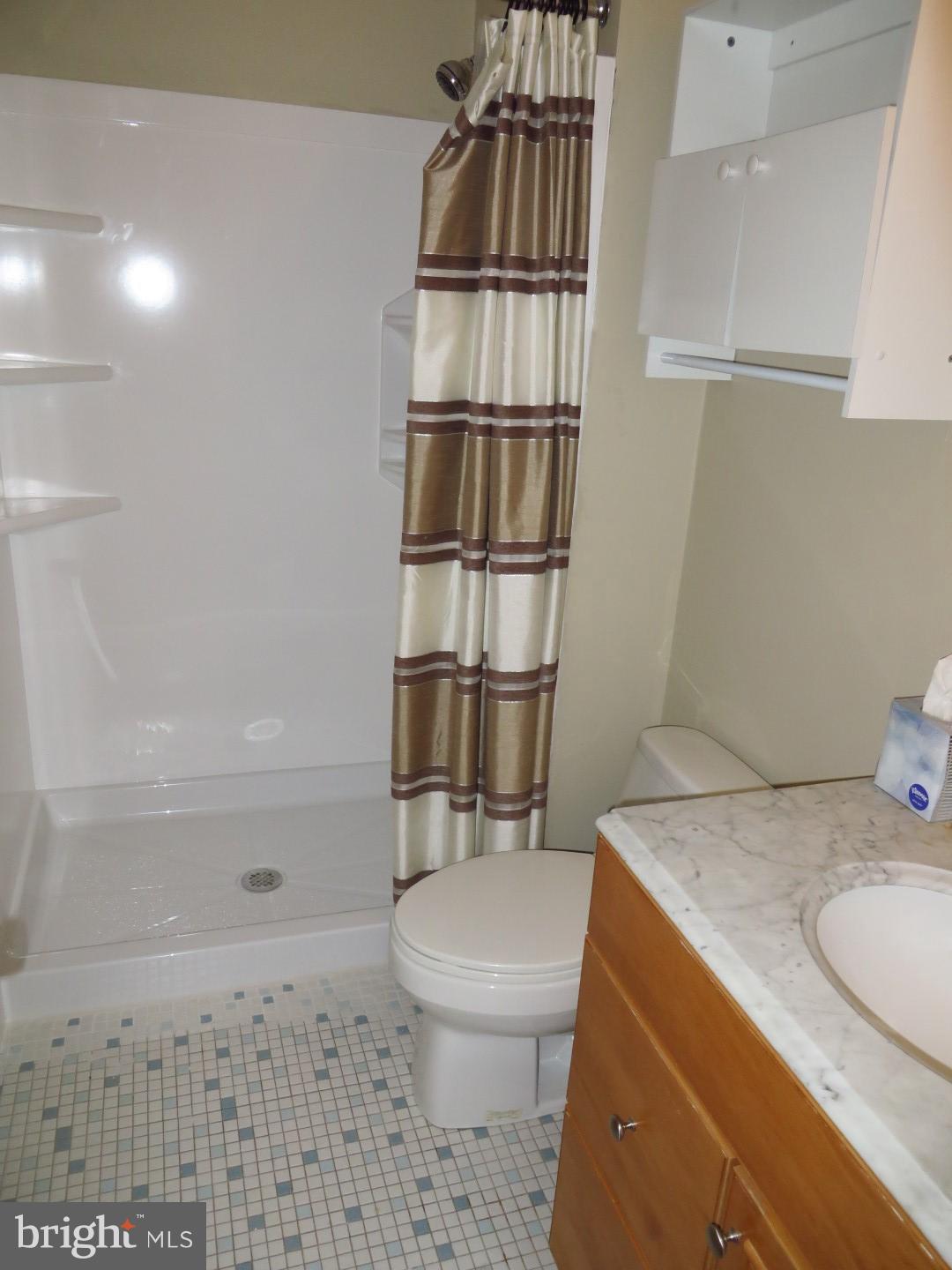 12517 Arbor View Terrace Silver Spring, MD 20902 - Photo 25 of 30 Bath (Master)
