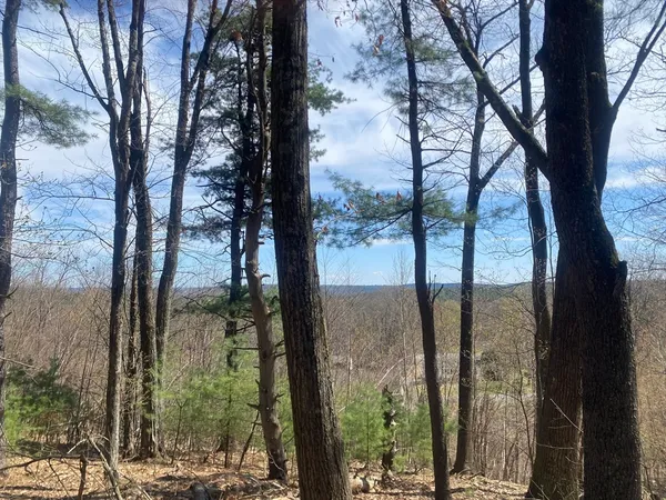 a view of lake from a window