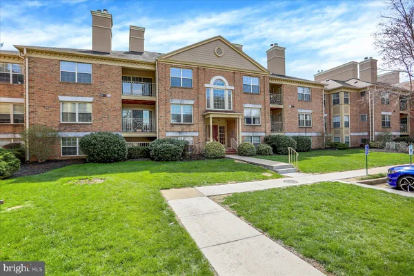 a view of a backyard with large trees