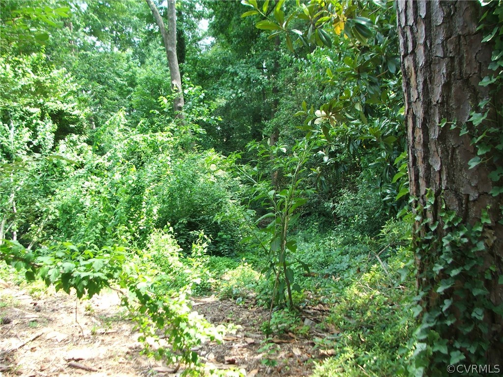 7201 Topsham Road Henrico, VA 23228 - Photo 39 of 43 Gallery Image 39