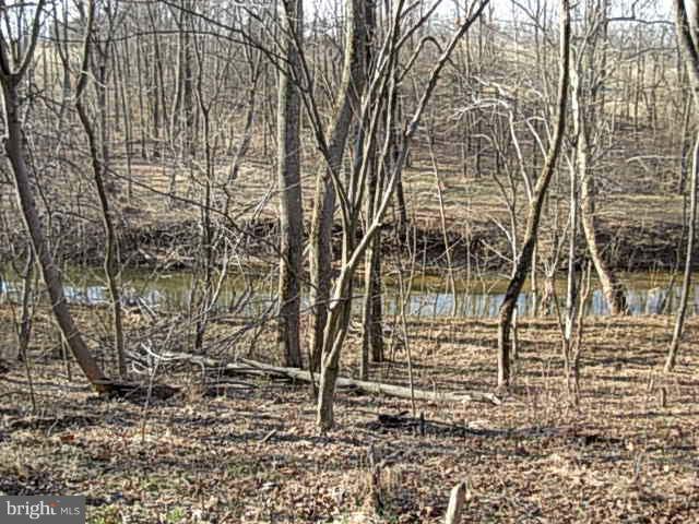 Creek Lane Waterford, VA 20197 - Photo 6 of 9 View