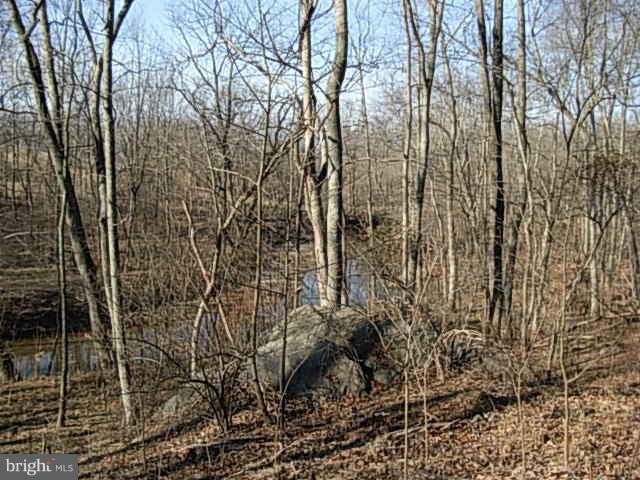 Creek Lane Waterford, VA 20197 - Photo 7 of 9 View