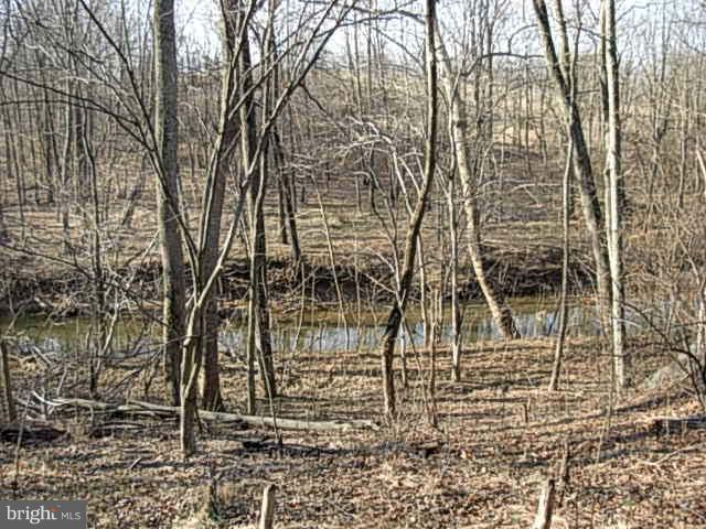 Creek Lane Waterford, VA 20197 - Photo 8 of 9 View
